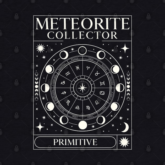 Meteorite Collector Primitive Meteorite Meteorite by Meteorite Factory